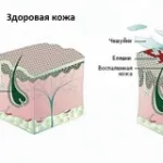 Як зробити волосся красивим, все про відносини (зробити волосся красивим) Як зробити волосся красивим, все про відносини