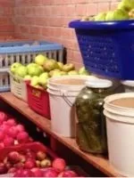 Як зробити вентиляцію в погребі (вентиляцію) Як зробити вентиляцію в погребі