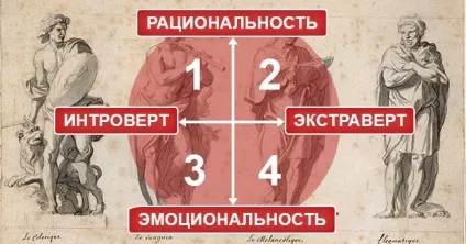 Як собаки п'ють воду (уповільнена зйомка) (собаки) Як собаки п'ють воду (уповільнена зйомка)