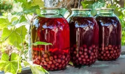 Як зробити вино з компоту (зробити) Як зробити вино з компоту