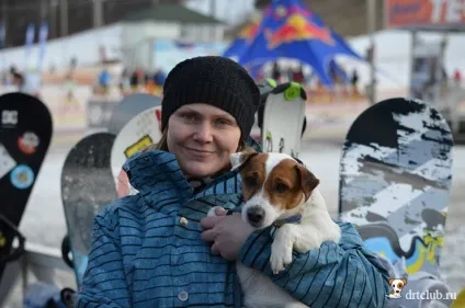 Як з'їздити з собакою в Австрію на гірськолижний курорт, drtclub (гірськолижний) Як з'їздити з собакою в Австрію на гірськолижний курорт, drtclub