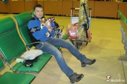 Як з'їздити з собакою в Австрію на гірськолижний курорт, drtclub (собакою) Як з'їздити з собакою в Австрію на гірськолижний курорт, drtclub