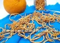 Як сушити черешню в електросушарці (черешню) Як сушити черешню в електросушарці