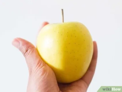 Як зберегти продукти свіжими (продукти) Як зберегти продукти свіжими