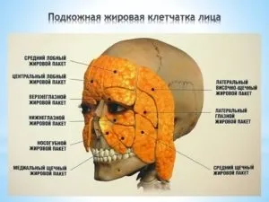 Як прибрати зморшки на лобі - ефективні методи омолодження (методи) Як прибрати зморшки на лобі - ефективні методи омолодження