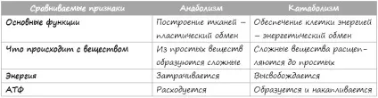 Як прискорити обмін речовин кращі способи частина 1 теорія (обмін) Як прискорити обмін речовин кращі способи частина 1 теорія