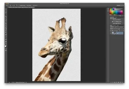Як видалити задній план на фотографії · «світ фотошопа» (уроки) Як видалити задній план на фотографії · «світ фотошопа»