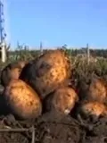 Як влаштовано дзеркало