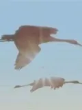 Як влаштовано дзеркало