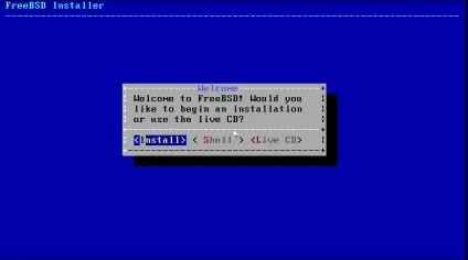 Як встановити freebsd з флешки (з картинками) - денис бондар (вибрано замовчуванням тисніть) Як встановити freebsd з флешки (з картинками) - денис бондар