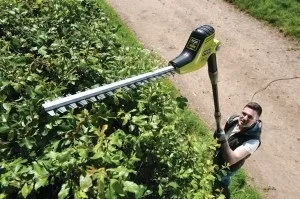Як вибрати кущоріз з урахуванням завдань огляд бензинових і електричних модифікацій (як вибрати кущоріз вибір електричного бензиновий який краще) Як вибрати кущоріз з урахуванням завдань огляд бензинових і електричних модифікацій