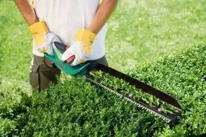 Як вибрати кущоріз з урахуванням завдань огляд бензинових і електричних модифікацій (кущоріз) Як вибрати кущоріз з урахуванням завдань огляд бензинових і електричних модифікацій
