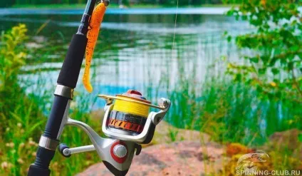 Як вибрати спінінг новачкові по способам лову (спінінг) Як вибрати спінінг новачкові по способам лову