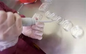 Як вилікувати чоловіче безпліддя народними засобами