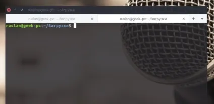 Як включити вкладки в терміналі ubuntu (вкладки) Як включити вкладки в терміналі ubuntu