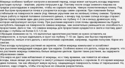 Як вивести мокрець з городу, що потрібно робити (город) Як вивести мокрець з городу, що потрібно робити
