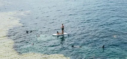 Як скористатися послугами ворожіння на картах - практична магія (поворожити) Як скористатися послугами ворожіння на картах - практична магія
