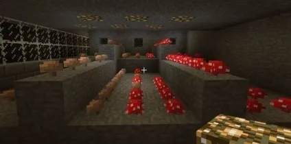 Як в minecraft вирощувати гриби