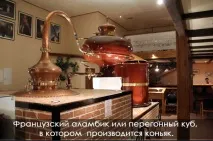 мистецтва