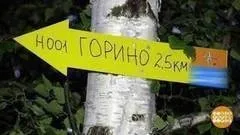 Як звірі розмовляють (доброго ранку) Як звірі розмовляють