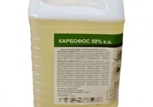 Карбофос від клопів відгуки використовували, правила застосування (карбофос інструкція) Карбофос від клопів відгуки використовували, правила застосування