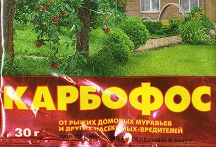 Карбофос від клопів - властивості і особливості використання (карбофос клоп) Карбофос від клопів - властивості і особливості використання
