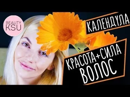Календула для волосся рецепти масок, відварів і настоянок (масло календули) Календула для волосся рецепти масок, відварів і настоянок