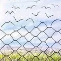 До чого сняться черепашки, сонник черепашки морські уві сні (снитися черепашка сонник сон) До чого сняться черепашки, сонник черепашки морські уві сні