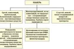 Кашель який буває і як його вилікувати (кашель) Кашель який буває і як його вилікувати