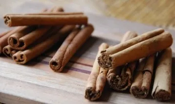 Касія і кориця як відрізнити користь кориці для організму