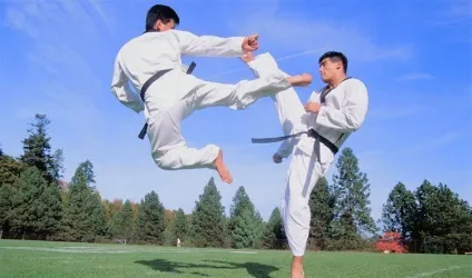 Кікбоксинг, ru-sports