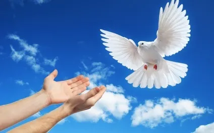 До чого сниться зловити руками і тримати два птахи в кишені уві сні жінці (до чого сниться птиця в руках жінки) До чого сниться зловити руками і тримати два птахи в кишені уві сні жінці