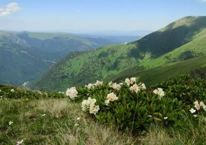 Кавказькі мінеральні води - все про курорт Кавказу (кавказькі) Кавказькі мінеральні води - все про курорт Кавказу
