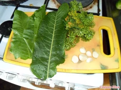 Мариновані огірки - рецепти для дуже зайнятої мами - країна мам (парасольки кропу) Мариновані огірки - рецепти для дуже зайнятої мами - країна мам