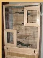 Клітки для кроликів своїми руками