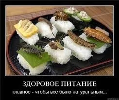 Китайці їдять кішок, собак і ембріони, рудий кіт (китайці) Китайці їдять кішок, собак і ембріони, рудий кіт