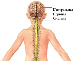 Кофеїн - шкідливий дозування, вміст кофеїну в чаї, кави та інших напоях (щоб) Кофеїн - шкідливий дозування, вміст кофеїну в чаї, кави та інших напоях