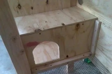 Клітки для кроликів своїми руками