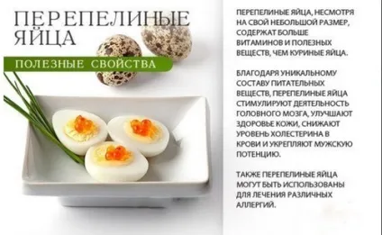 Коли можна давати білок яйця дитині, чи можна дитині (яйця) Коли можна давати білок яйця дитині, чи можна дитині