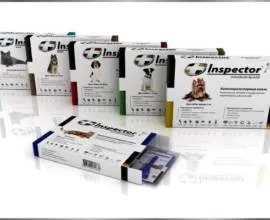 Корм для кастрованих котів, ніж годувати, сухий корм (корм) Корм для кастрованих котів, ніж годувати, сухий корм