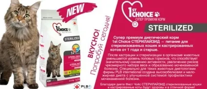 Корм для кастрованих котів, ніж годувати, сухий корм (годувати) Корм для кастрованих котів, ніж годувати, сухий корм