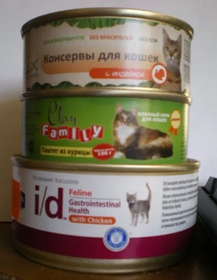 Кішка стала часто просити кота () Кішка стала часто просити кота