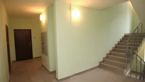 Фарба для під'їздів чим і як пофарбувати стіни, чи можна фарбувати взимку, відео та фото (фарба для під'їздів чи можна фарбувати взимку) Фарба для під'їздів чим і як пофарбувати стіни, чи можна фарбувати взимку, відео та фото