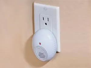 Щури і миші