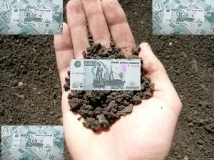 Хто і як платити податок з продажу земельної ділянки (продажу) Хто і як платити податок з продажу земельної ділянки
