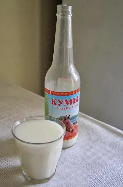 Кумис - що це таке виробництво кумису, його властивості (кумису) Кумис - що це таке виробництво кумису, його властивості