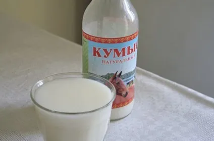 Кумис що це таке, корисні властивості і протипоказання (корисні) Кумис що це таке, корисні властивості і протипоказання