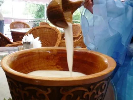 Кумис що це таке, корисні властивості і протипоказання (таке) Кумис що це таке, корисні властивості і протипоказання