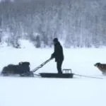 Кущорізи ручні - огляд видів, характеристик, виробників і цін (акумуляторні кущорізи) Кущорізи ручні - огляд видів, характеристик, виробників і цін