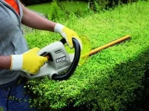 Кущорізи ручні - огляд видів, характеристик, виробників і цін (характеристик) Кущорізи ручні - огляд видів, характеристик, виробників і цін